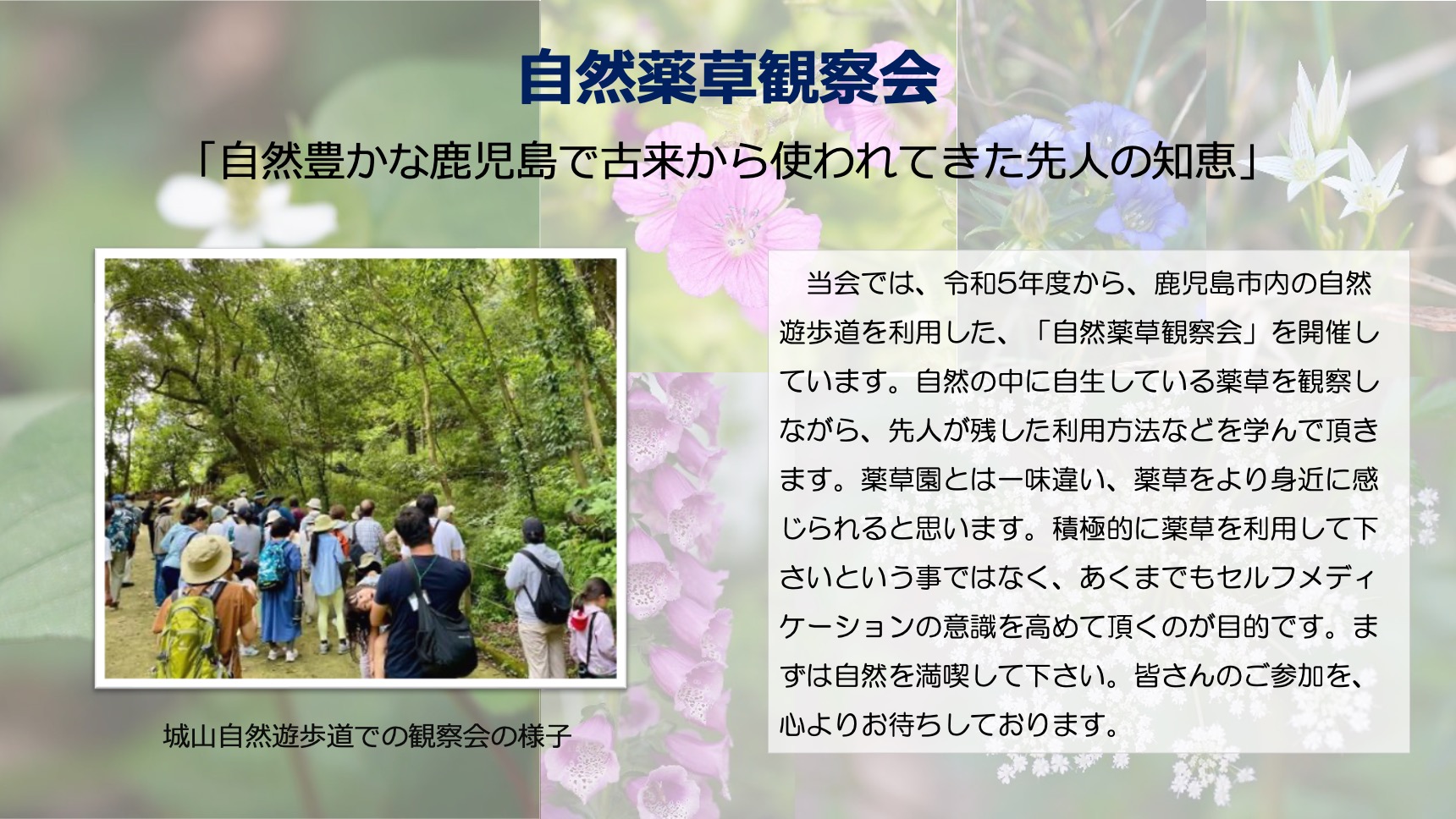 鹿児島市薬剤師会の紹介